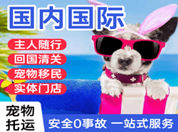 首都机场货运国际宠物托运 【国